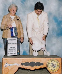 Ch. Zamora's Lizette