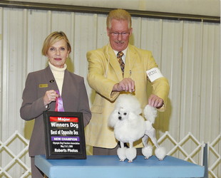 Ch. Zamora's William Tell