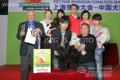 Ch. Zamora's Jazz Man in China