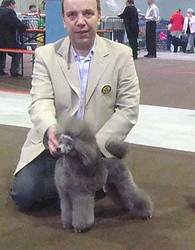 Ch. Zamora's Silver Dream