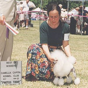 Ch. Zamora's Snow Angel