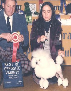 Ch. Zamora's All Together Now