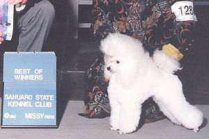 Ch. Zamora's Marjonlie Starlet