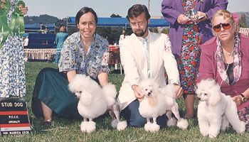 Zamora's Snow Flurry